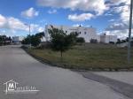 terrain de 641m² a jinen hammamet