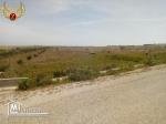 à vendre terrain 1000 m² à kelibia tamezrat