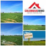 Terrain Agricole à Ain Ghlel