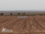 Un superbe terrain agricole à faja manouba