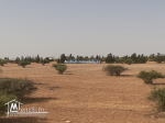 Un superbe terrain agricole à faja manouba