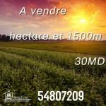 vendre un terrain #kelibia