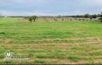Terrain à Hammamet de 3053 m2