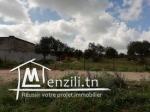 Terrain à vendre à Manouba Sanhaja
