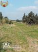 terrain a vendre a tamizret-kelibia