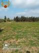 terrain a vendre a tamizret-kelibia