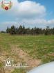 terrain a vendre a tamizret-kelibia