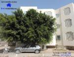 للبيع 5 شقق ب سوسة