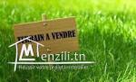 Terrain a vendre à Bizerte Corniche 