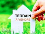 a vendre un terrain de 3871 m2 