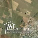 Terrain à vendre de 900 m2