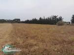 VT623:Terrain 5000 m² à Kelibia
