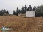 VT623:Terrain 5000 m² à Kelibia