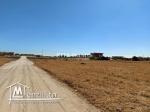 Terrain de 170 m2  à vendre au capbon kélébia