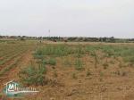VT628:Terrain 470 m² à Kelibia la blanche