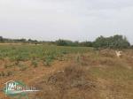 VT628:Terrain 470 m² à Kelibia la blanche