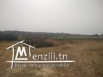 Terrain à vendre à Hammamet Si Hamed