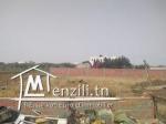 Terrain à vendre à Hammamet Si Hamed
