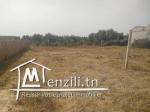 Terrain à vendre à hammamet Si Hamed