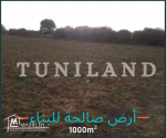 Terrain constructible à vendre à Kerkouen - Kélibia