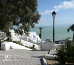A Vendre terrain de 8517m² vue mer à Sidi Bou Saïd