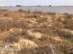 A vendre terrain de 5422m² à La Soukra