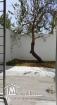 A Louer appartement s2 avec jardin à Gammarth