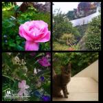 Location S+1 centre-ville de Tabarka et 200 m de la plage, à côté de la Basilique (Festival de Ja...