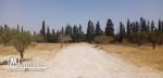 Terrain a yasinne hammamet