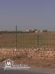 A vendre des lots de terrain A Borj El Amri