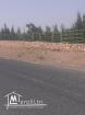 A vendre des lots de terrain A Borj El Amri