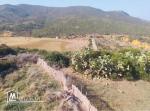 Lot terrain 3 hectares à houichette Dar janna bizerte
