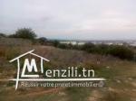 Terrain (950m2) à vendre à Jardin El Menzah