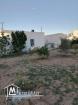 Ancienne maison et studio sûr un grand terrain 2km à sfax