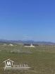 VENTE TERRAIN HAMMAMET • HAMMAMET SUD
