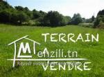 TERRAIN agricole 24 0000 m2 à #KALAA KBIRA  #RMILA vue mer
