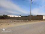 terrain A VENDRE A JABNOUN HAMMAMET YASMINE
