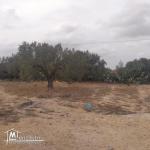 terrain à vendre 20.255.535