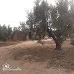 terrain à vendre 20.255.535