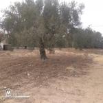 terrain à vendre 20.255.535