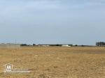 terrain à vendre 20.255.535