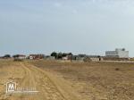 terrain à vendre 20.255.535