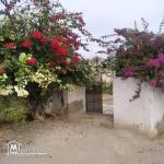 terrain à vendre 20.255.535