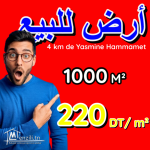 terrain à vendre 20.255.535