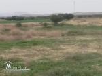 أرض فلاحية للبيع