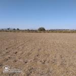 terrain à vendre 20.255.535