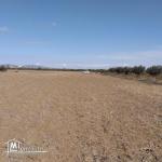 terrain à vendre 20.255.535