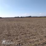 terrain à vendre 20.255.535