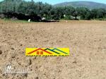 Ferme de 1 hect+5000m2 a el haouaria cap bon