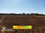 Ferme de 1 hect+5000m2 a el haouaria cap bon